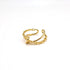 Double chain ring